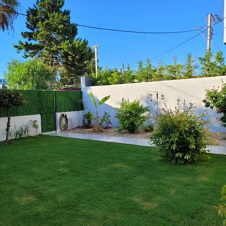 Limon Cicegi Alacati - Serkan's * Cesme